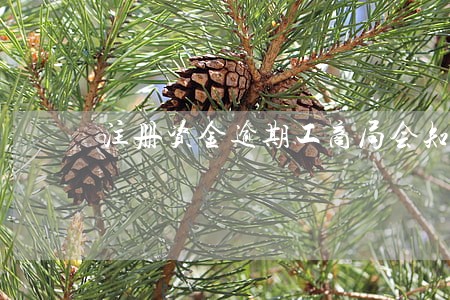 注册资金逾期工商局会知道吗
