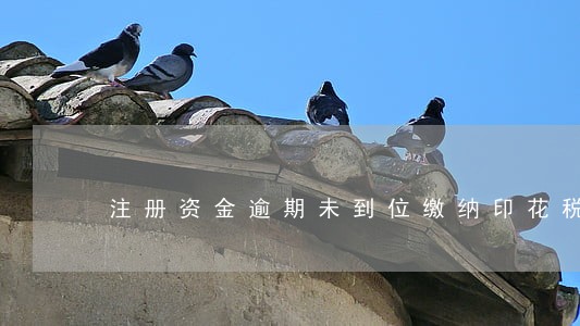 注册资金逾期未到位缴纳印花税