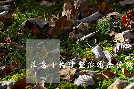 注意丨长沙整治违法停放 注意丨长沙整治违法停放