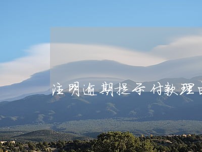 注明逾期提示付款理由电子承兑