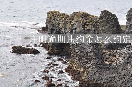 注明逾期违约金怎么约定 注明逾期违约金怎么约定