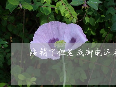注销了但是我街电还在逾期怎么办 注销了但是我街电还在逾期怎么办