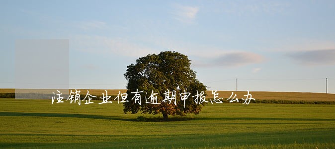 注销企业但有逾期申报怎么办 注销企业但有逾期申报怎么办