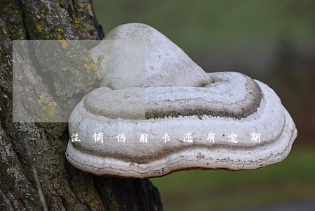 注销信用卡还有逾期 注销信用卡还有逾期