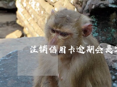 注销信用卡逾期会是零吗 注销信用卡逾期会是零吗