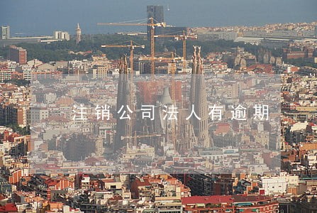 注销公司法人有逾期 注销公司法人有逾期