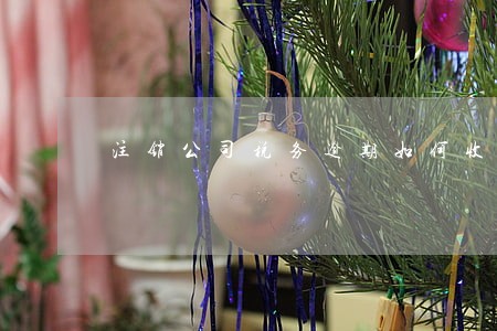 注销公司税务逾期如何收费 注销公司税务逾期如何收费