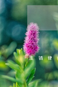 注销律师证后重新申请书 注销律师证后重新申请书