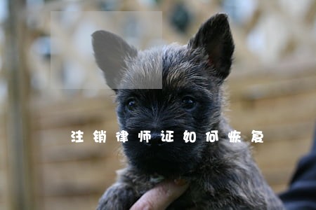注销律师证如何恢复 注销律师证如何恢复