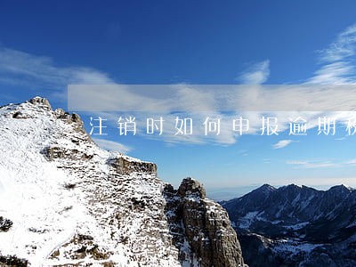 注销时如何申报逾期税费 注销时如何申报逾期税费