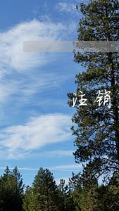 注销显示存在逾期未申报情况 注销显示存在逾期未申报情况