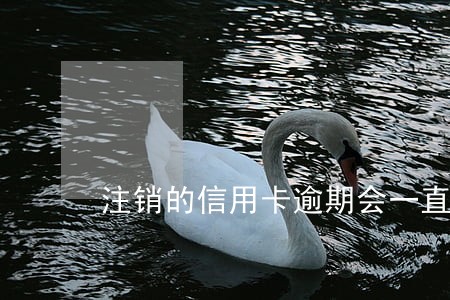 注销的信用卡逾期会一直在吗