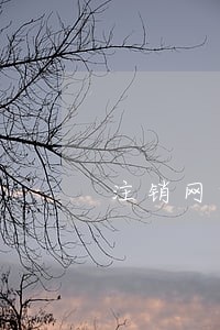 注销网贷账户消除逾期 注销网贷账户消除逾期
