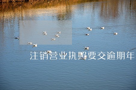注销营业执照要交逾期年审的罚款