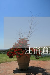 注销逾期登报的情况说明 注销逾期登报的情况说明