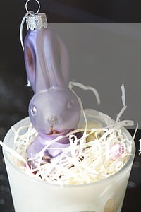 注销逾期记录 注销逾期记录