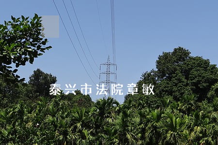 泰兴市法院章敏 泰兴市法院章敏