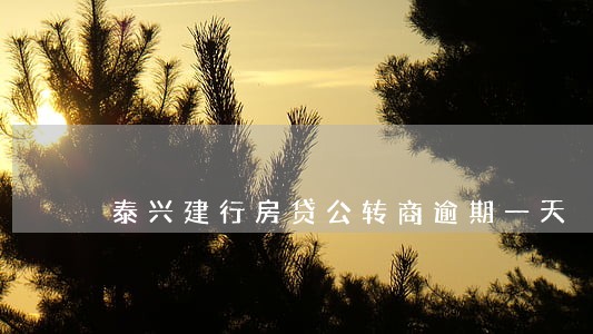 泰兴建行房贷公转商逾期一天 泰兴建行房贷公转商逾期一天