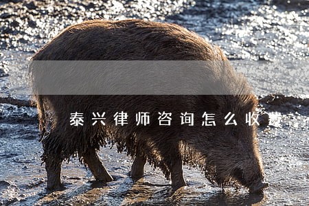 泰兴律师咨询怎么收费 泰兴律师咨询怎么收费