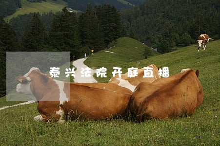 泰兴法院开庭直播 泰兴法院开庭直播