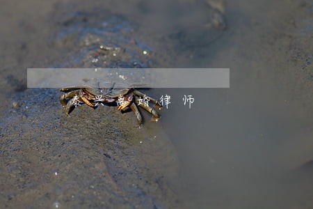泰兴离婚律师 泰兴离婚律师