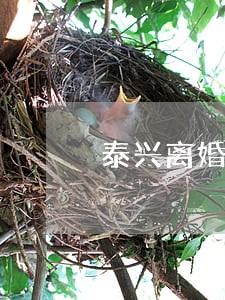 泰兴离婚找律师要多少钱 泰兴离婚找律师要多少钱