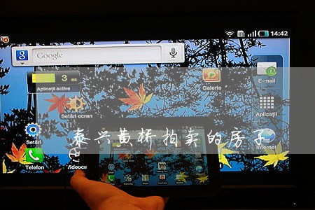 泰兴黄桥拍卖的房子 泰兴黄桥拍卖的房子