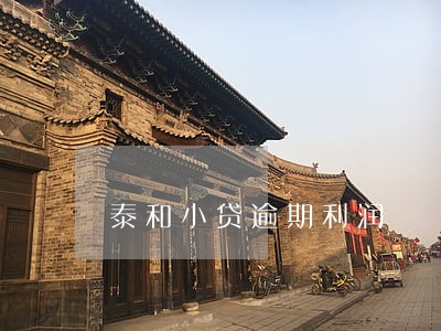 泰和小贷逾期利润 泰和小贷逾期利润