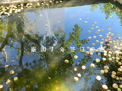 泰国7年签证逾期 泰国7年签证逾期