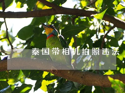 泰国带相机拍照违法 泰国带相机拍照违法