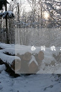 泰国旅游签逾期不出境后果如何