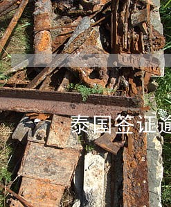 泰国签证逾期1年 泰国签证逾期1年