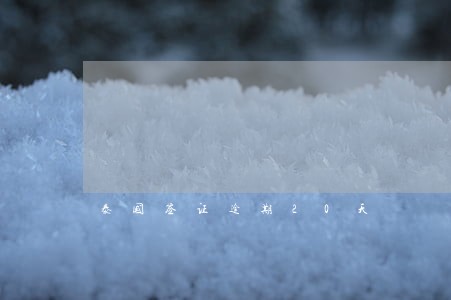泰国签证逾期20天 泰国签证逾期20天