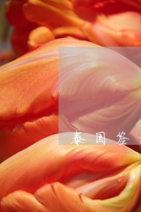 泰国签证逾期7年怎么办 泰国签证逾期7年怎么办