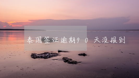 泰国签证逾期90天没报到 泰国签证逾期90天没报到