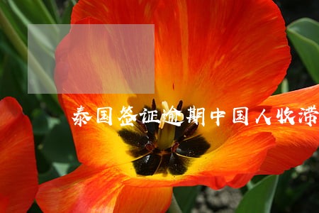 泰国签证逾期中国人收滞留金么 泰国签证逾期中国人收滞留金么