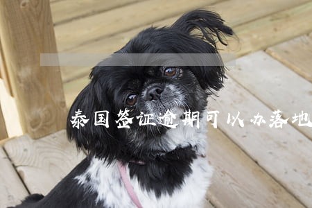 泰国签证逾期可以办落地签证吗 泰国签证逾期可以办落地签证吗
