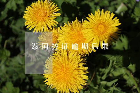 泰国签证逾期后果 泰国签证逾期后果