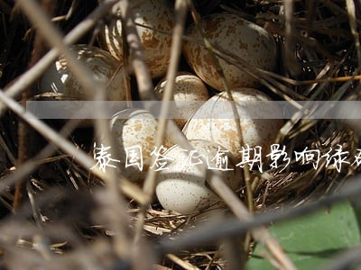 泰国签证逾期影响绿码申请 泰国签证逾期影响绿码申请