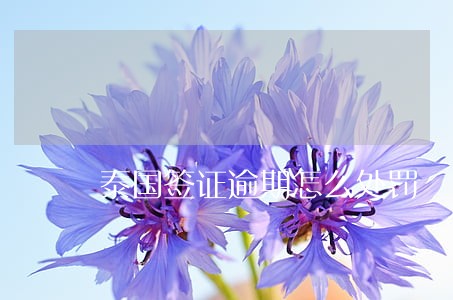 泰国签证逾期怎么处罚