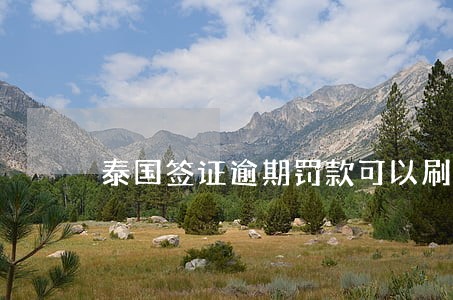泰国签证逾期罚款可以刷卡吗 泰国签证逾期罚款可以刷卡吗