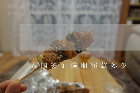 泰国签证逾期罚款多少 泰国签证逾期罚款多少