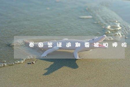 泰国签证逾期要被扣押吗