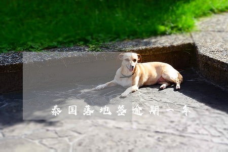 泰国落地签逾期一年 泰国落地签逾期一年