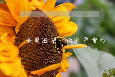 泰国逾期一两天严重吗 泰国逾期一两天严重吗