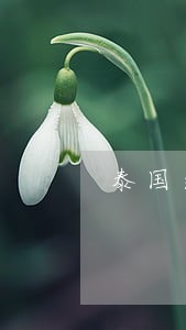 泰国逾期两天出境 泰国逾期两天出境