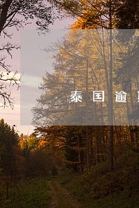 泰国逾期出境怎么交罚款 泰国逾期出境怎么交罚款
