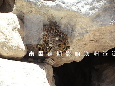 泰国逾期影响澳洲签证吗 泰国逾期影响澳洲签证吗