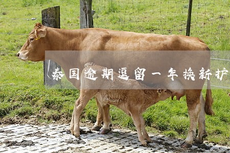 泰国逾期逗留一年换新护照再去 泰国逾期逗留一年换新护照再去