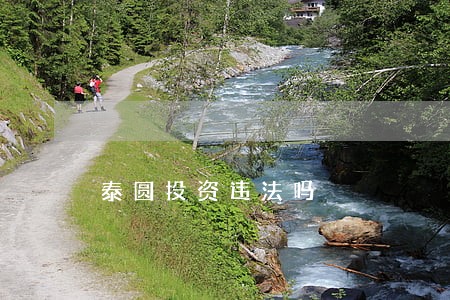 泰圆投资违法吗